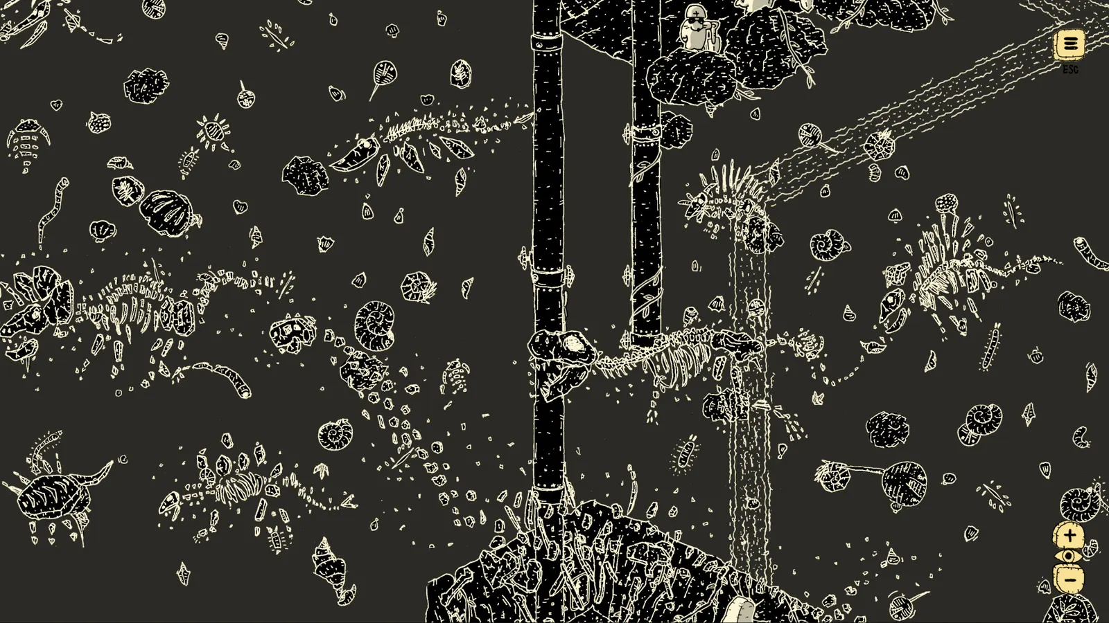 Finding Polka media 10