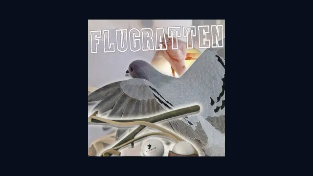 Flugratten