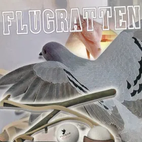 Обкладинка гри Flugratten