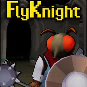 Обкладинка гри FlyKnight