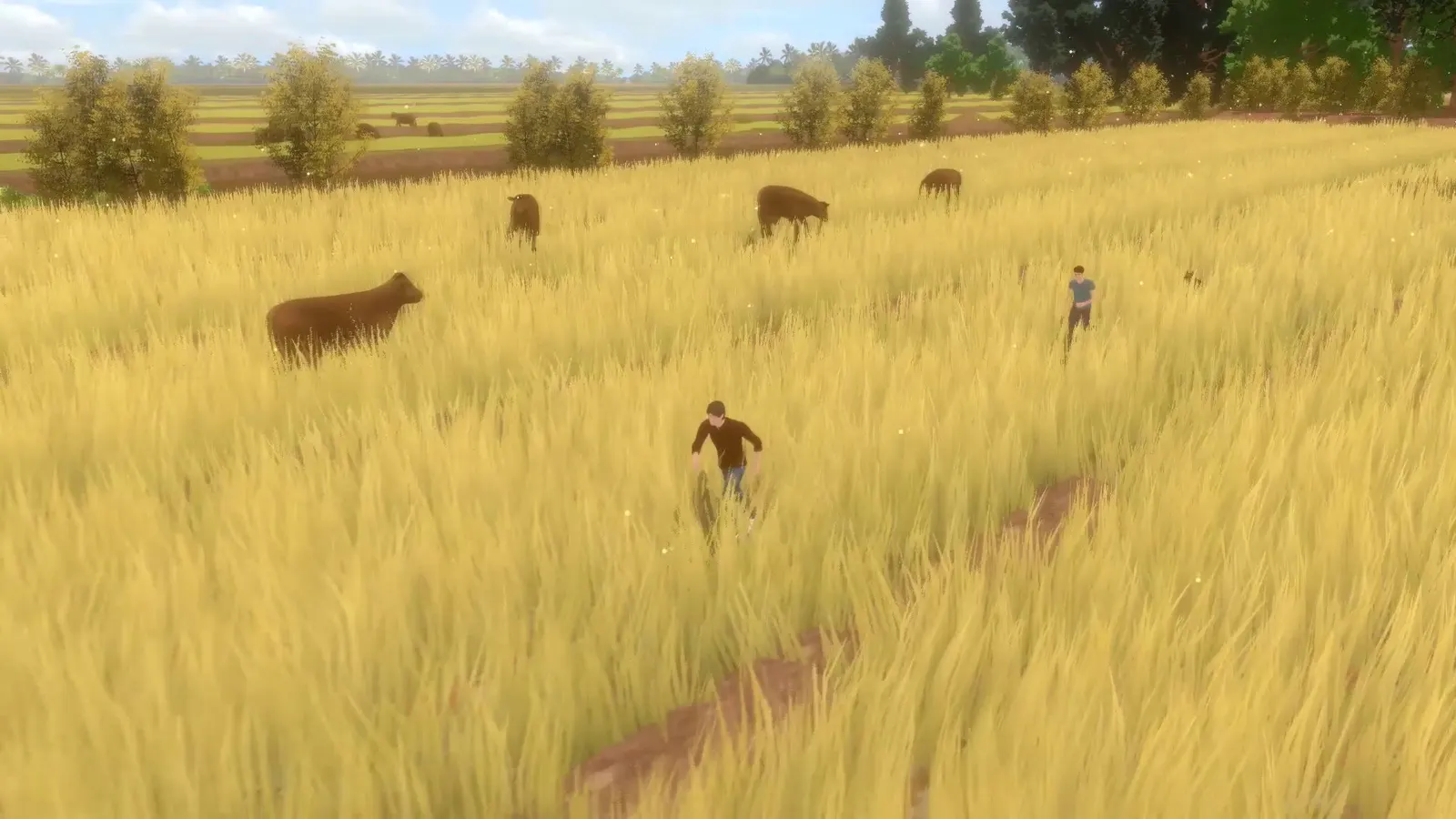 Forgotten Fields media 9