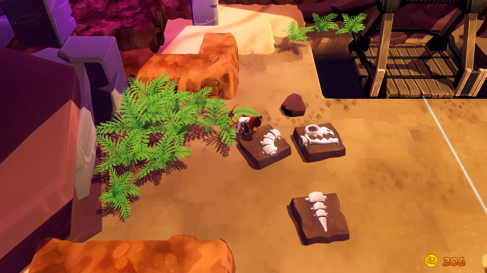 Fossil Hunters media 6