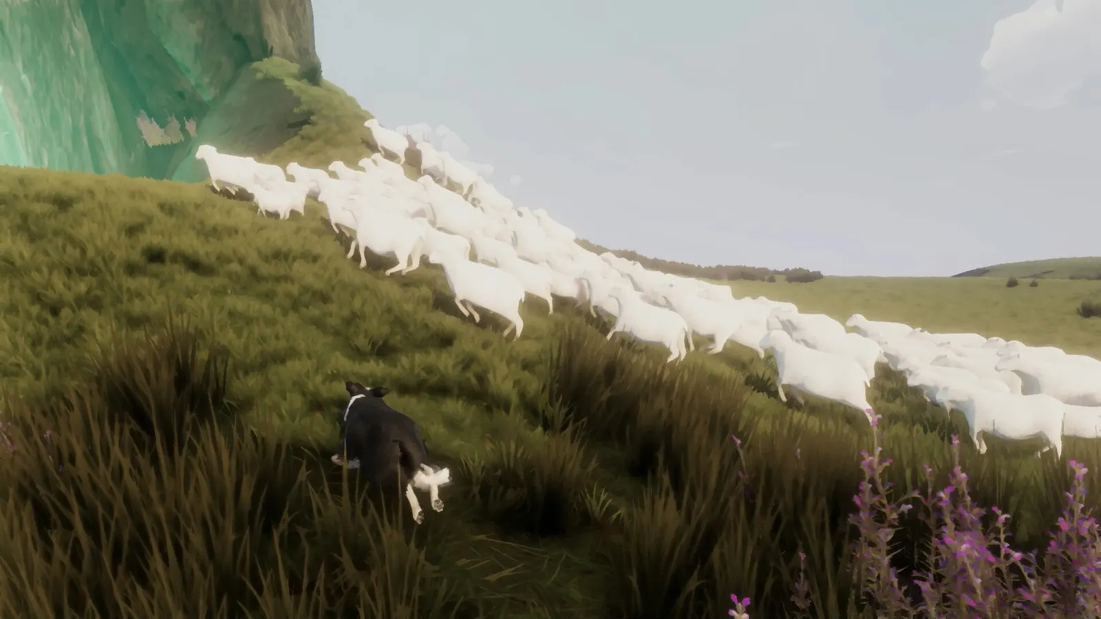 The Free Shepherd media 3