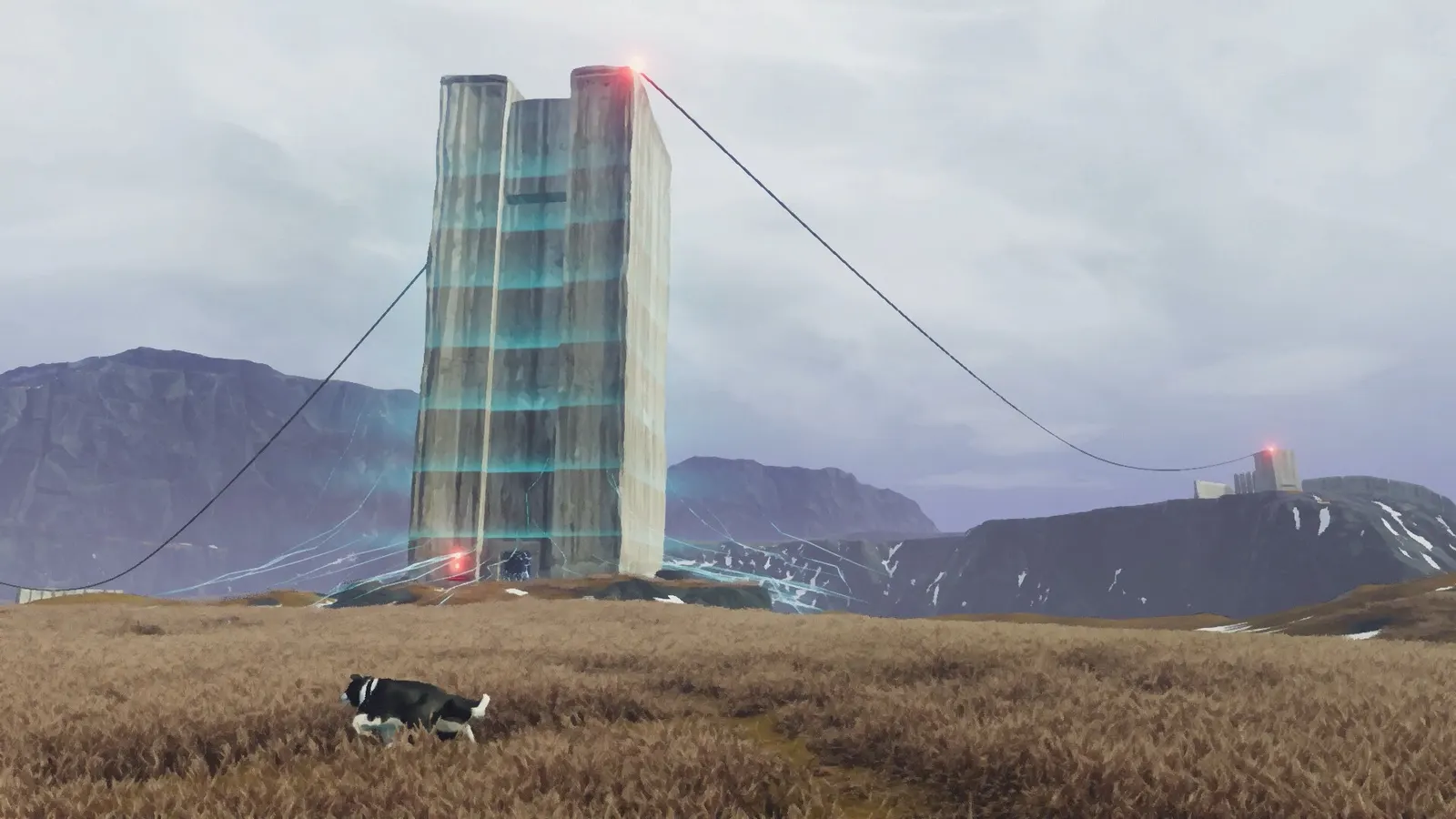The Free Shepherd media 6