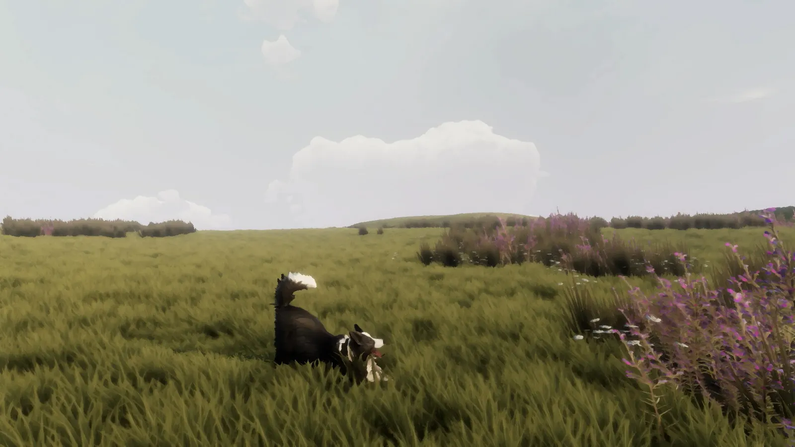The Free Shepherd media 10