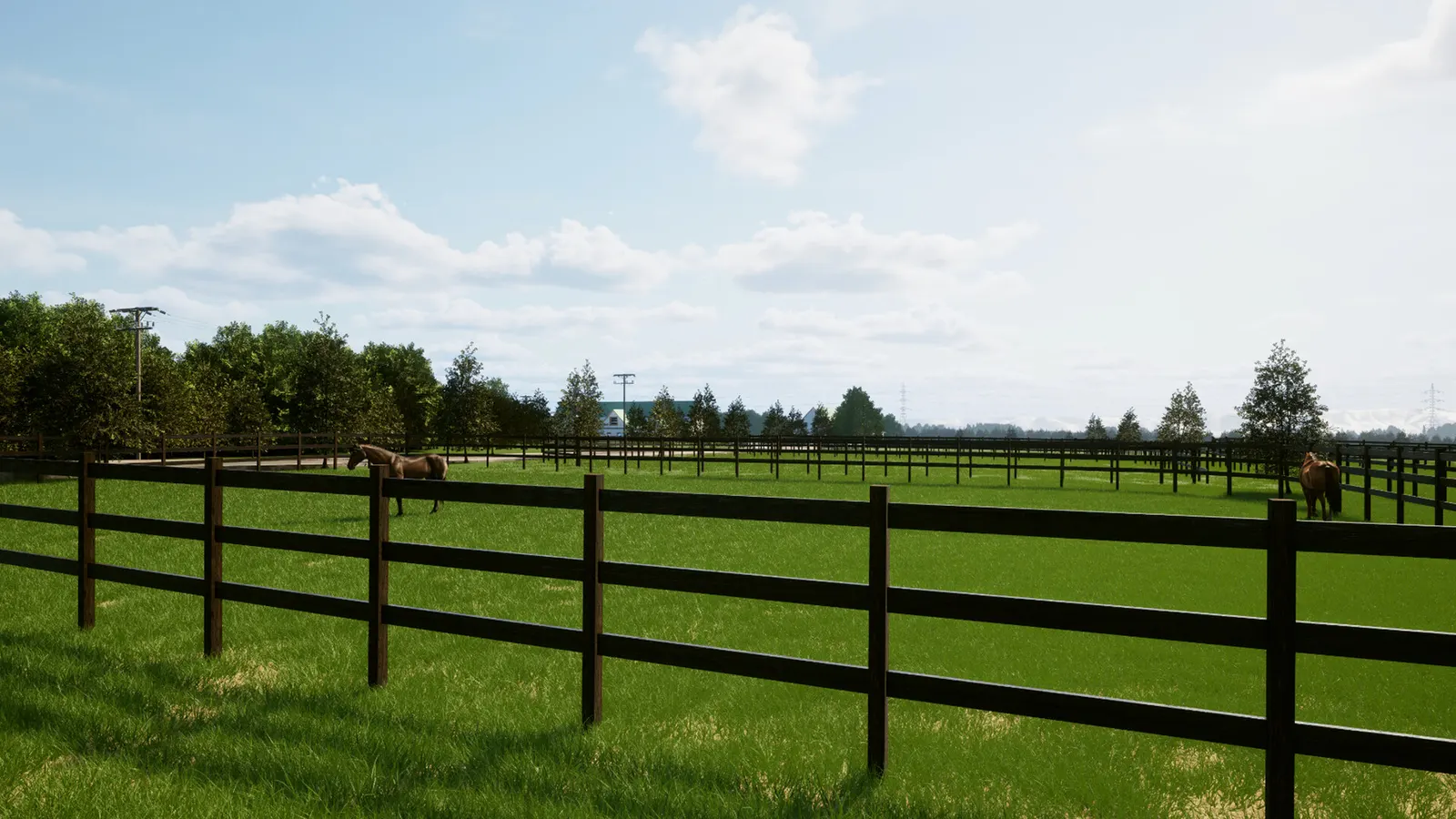 Full Stride media 15