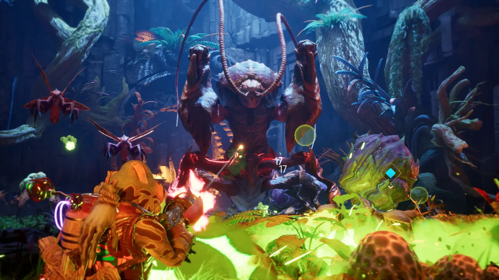 Gang of Frogs media 3