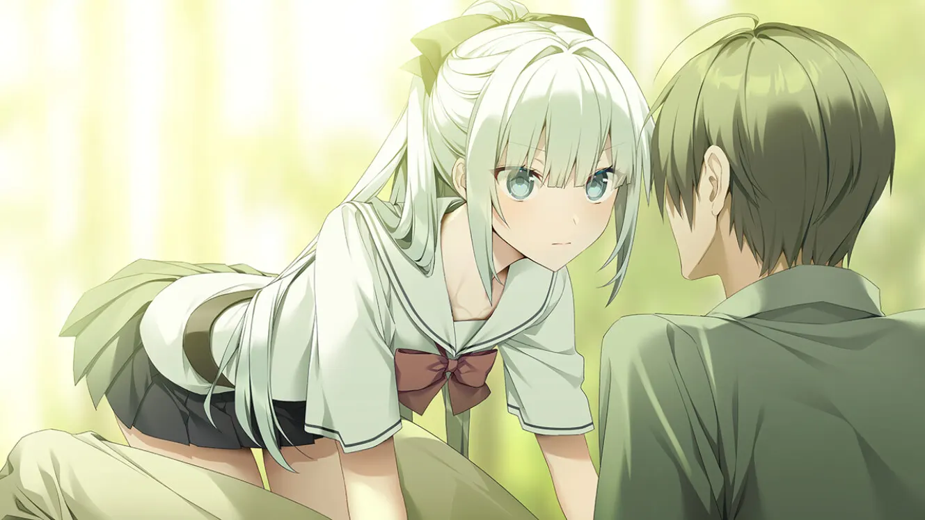 GINKA media 11