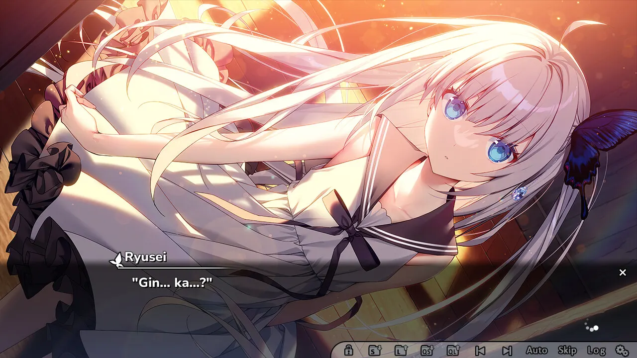 GINKA media 14
