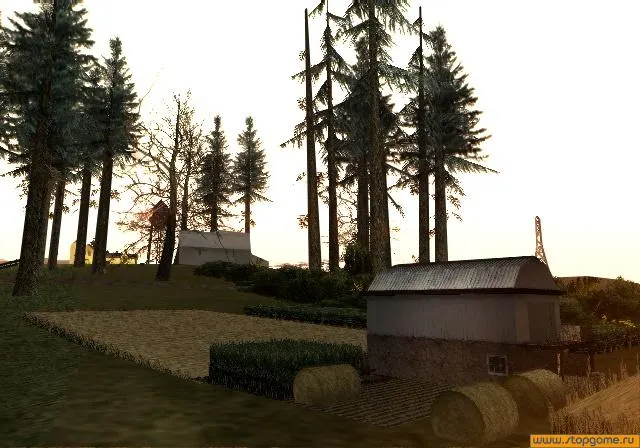 Grand Theft Auto: San Andreas media 5