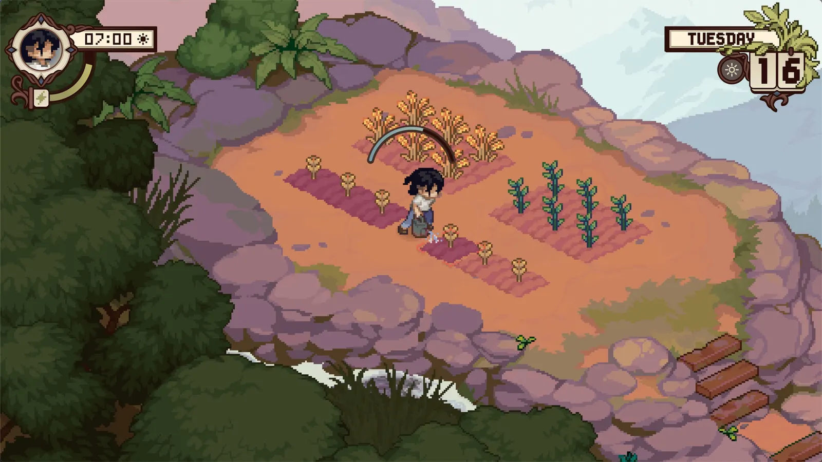 Grave Seasons media 8