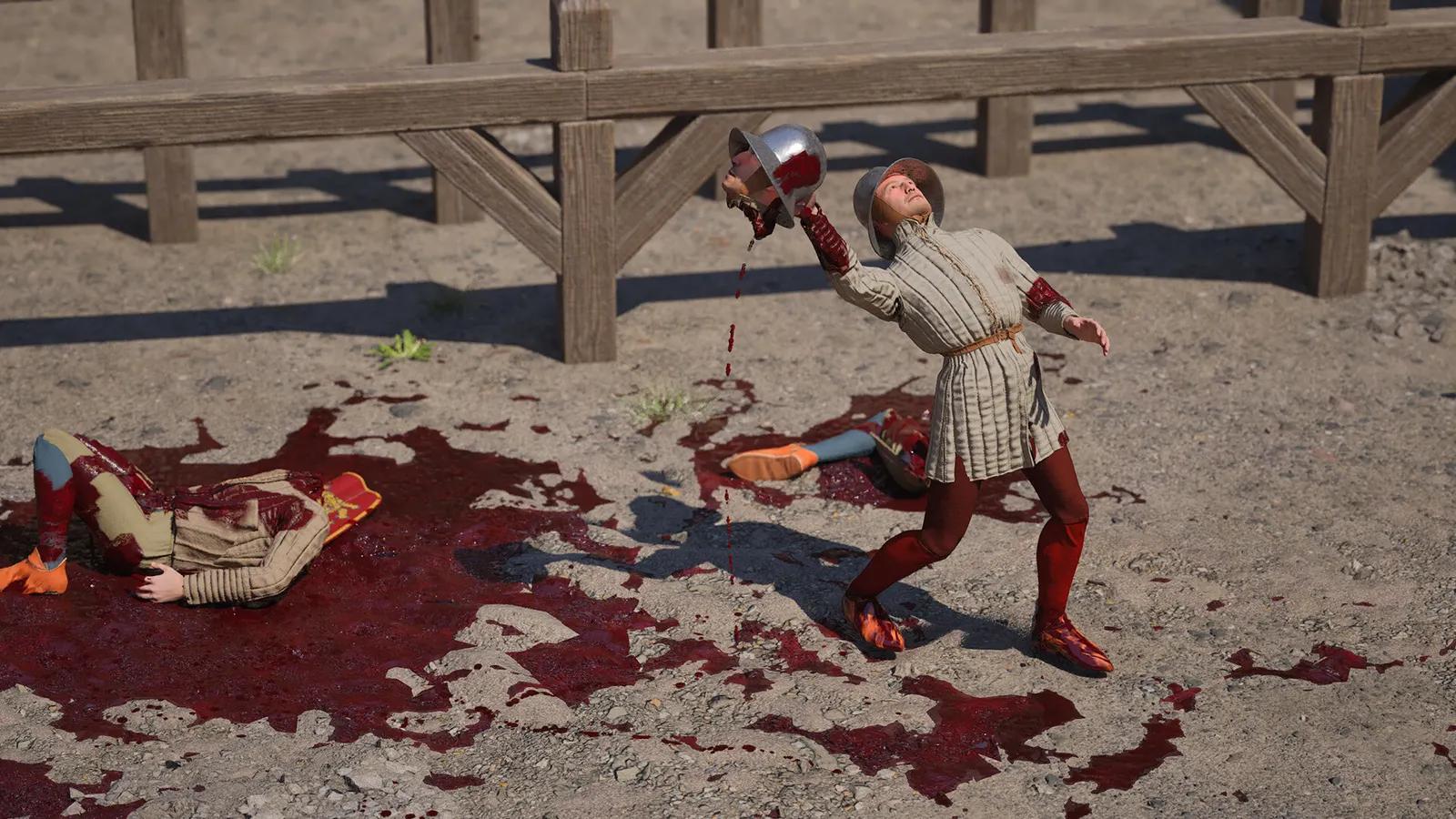 Half Sword media 7