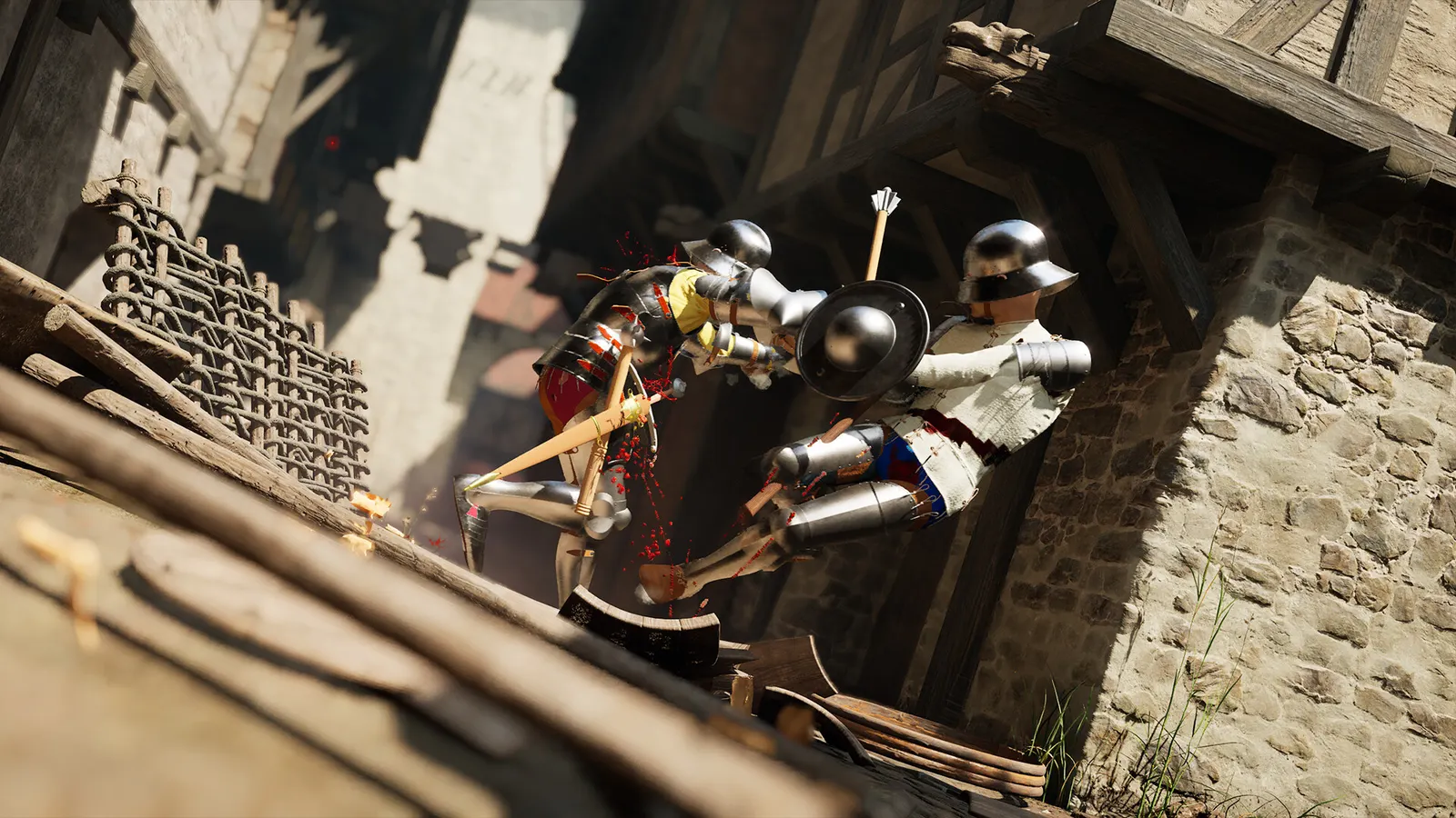 Half Sword media 12