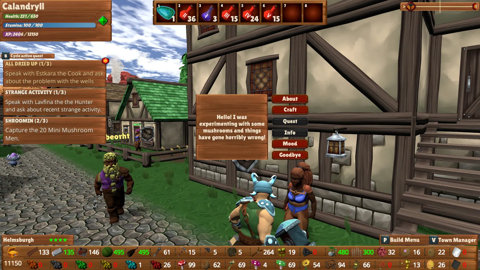 HammerHelm media 12