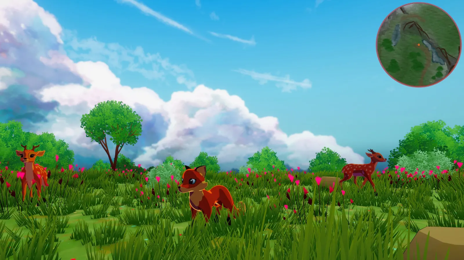 Harmony in the Wild media 3