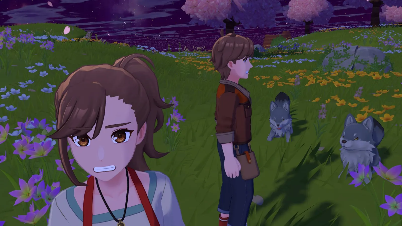 Harvest Moon: Echoes of Teradea media 4