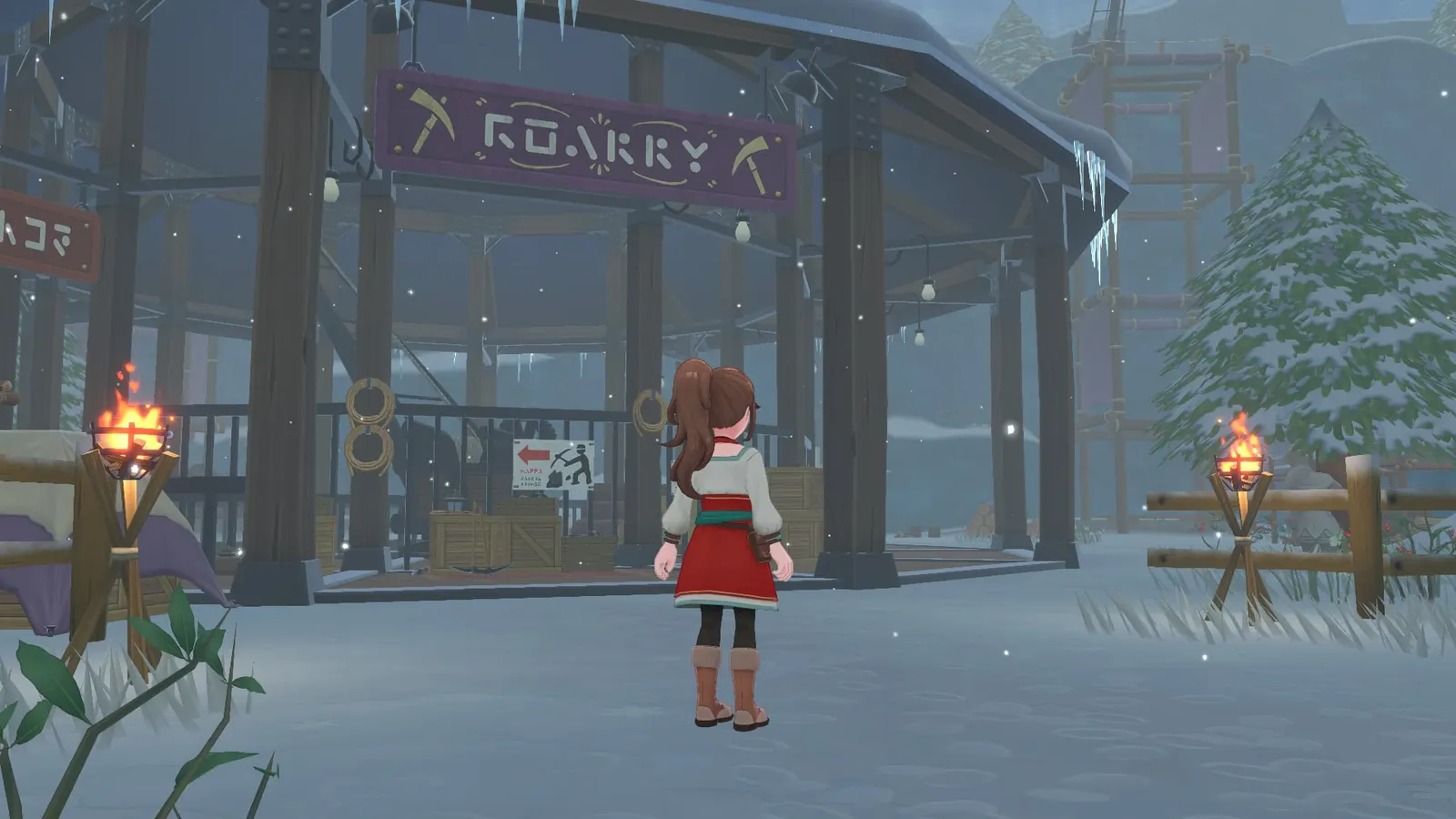Harvest Moon: Echoes of Teradea media 7