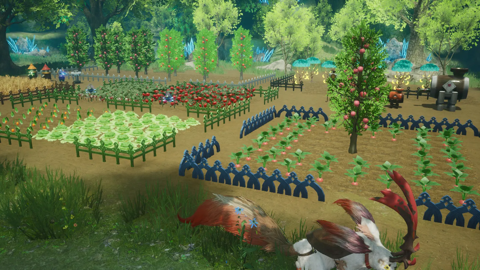 HARVESTELLA media 6