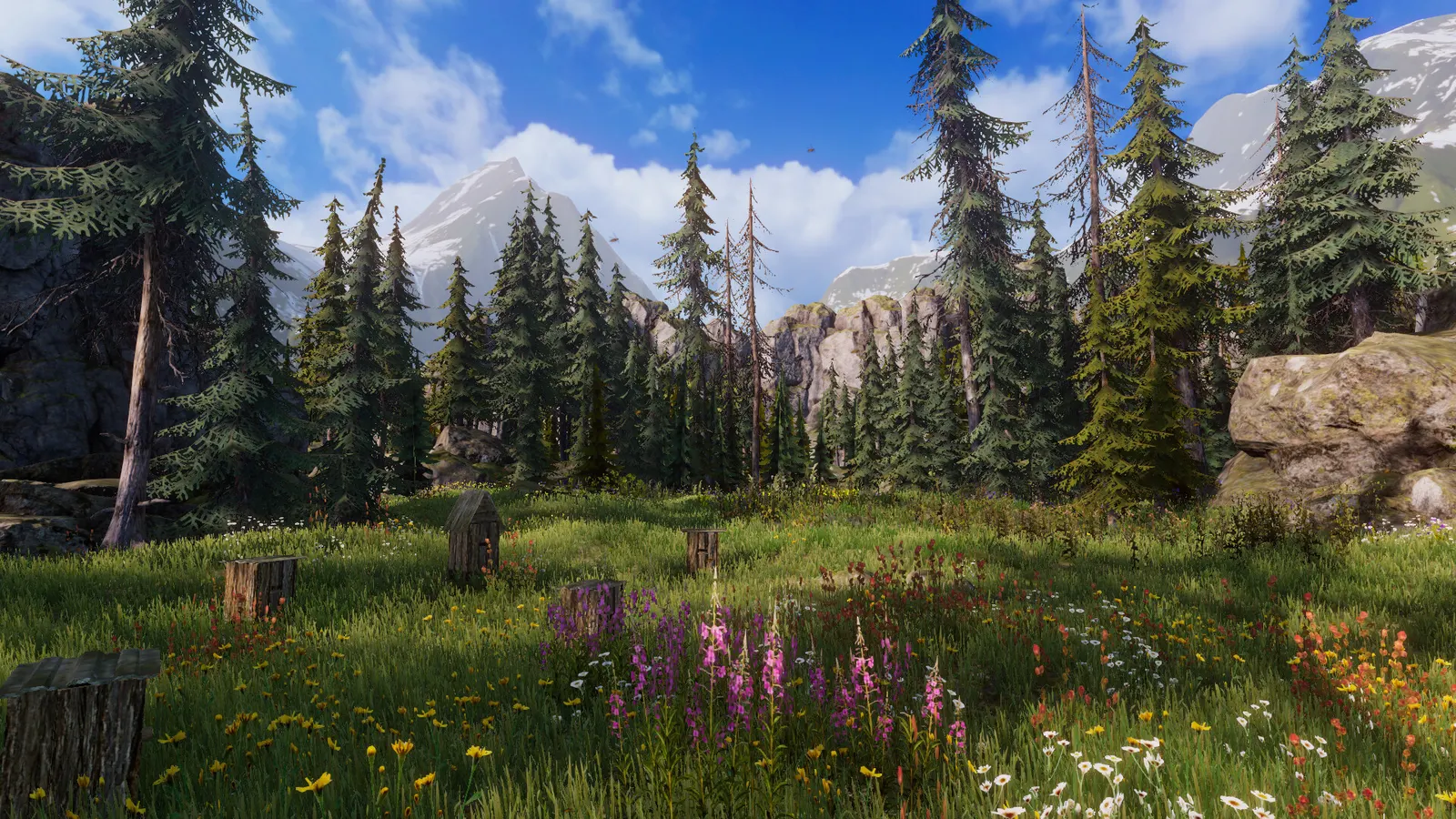 Heart Of Altai media 9