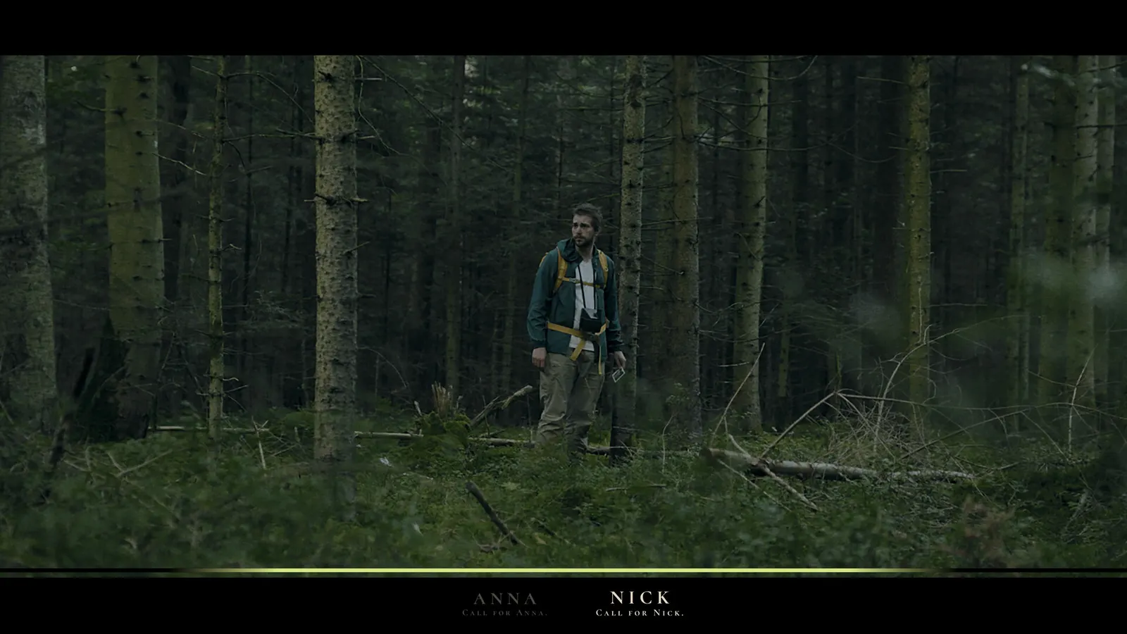 Heart of the Forest media 7