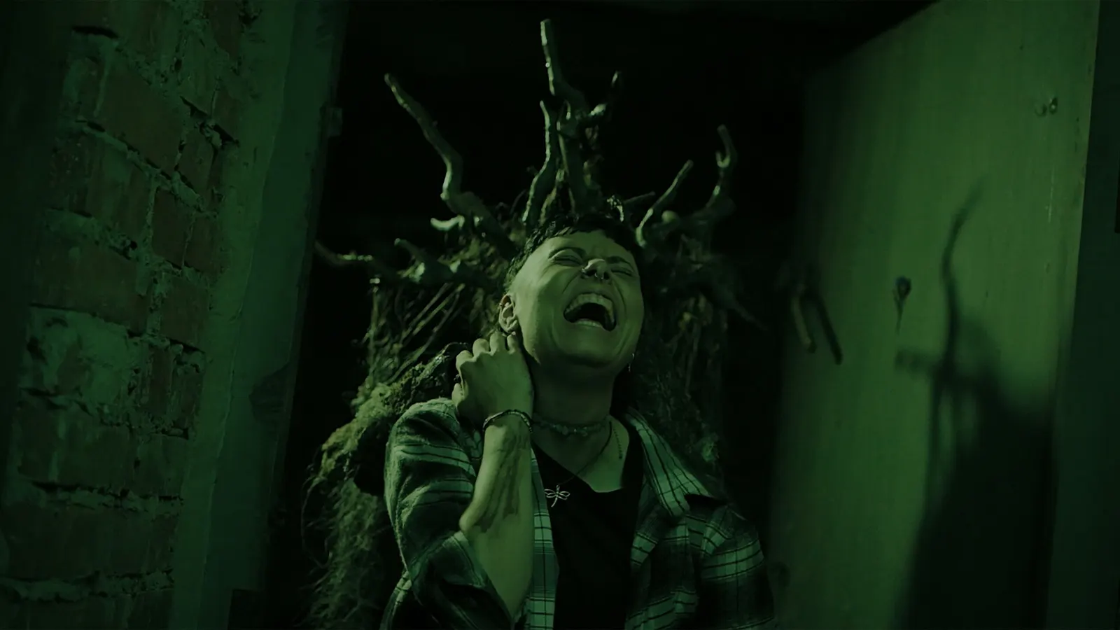 Heart of the Forest media 8
