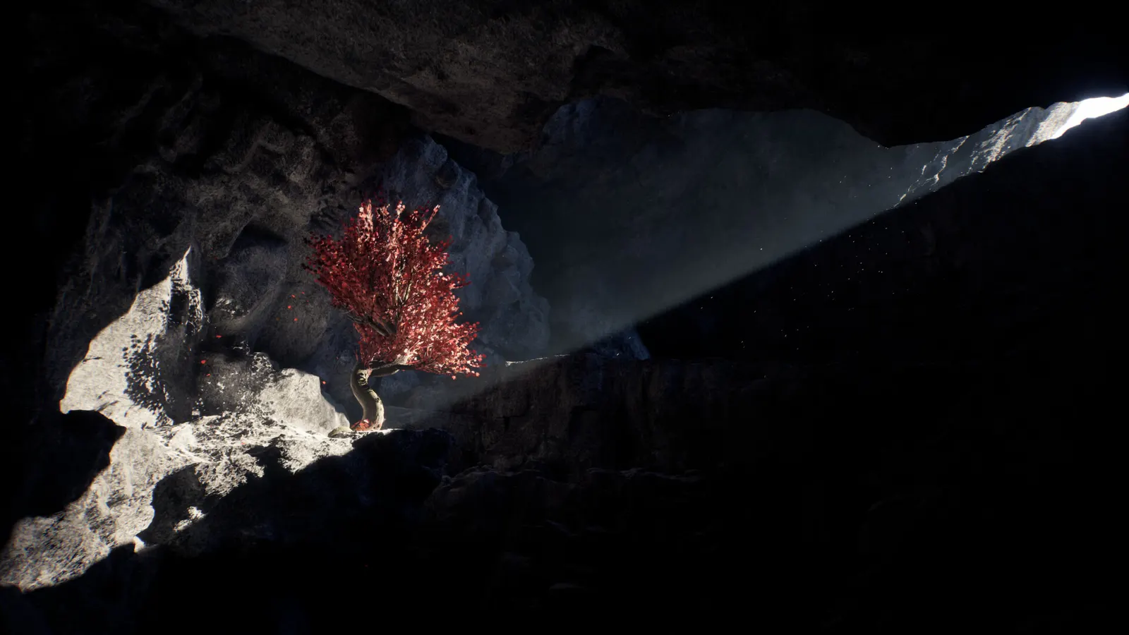 Heat Death: Survival Train media 20