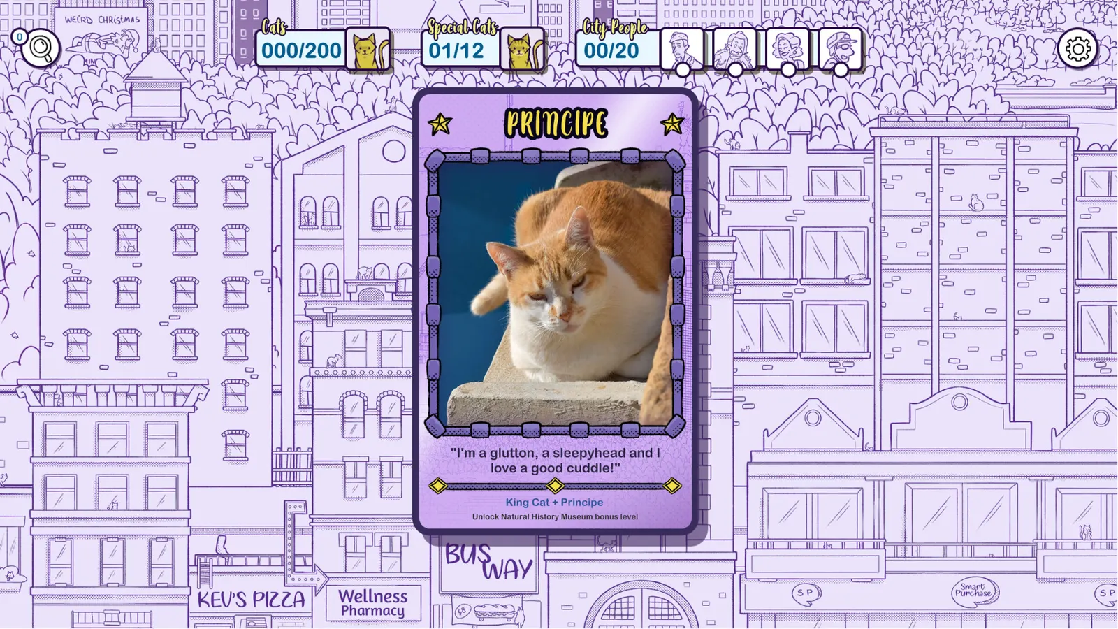 Hidden Cats in New York media 5