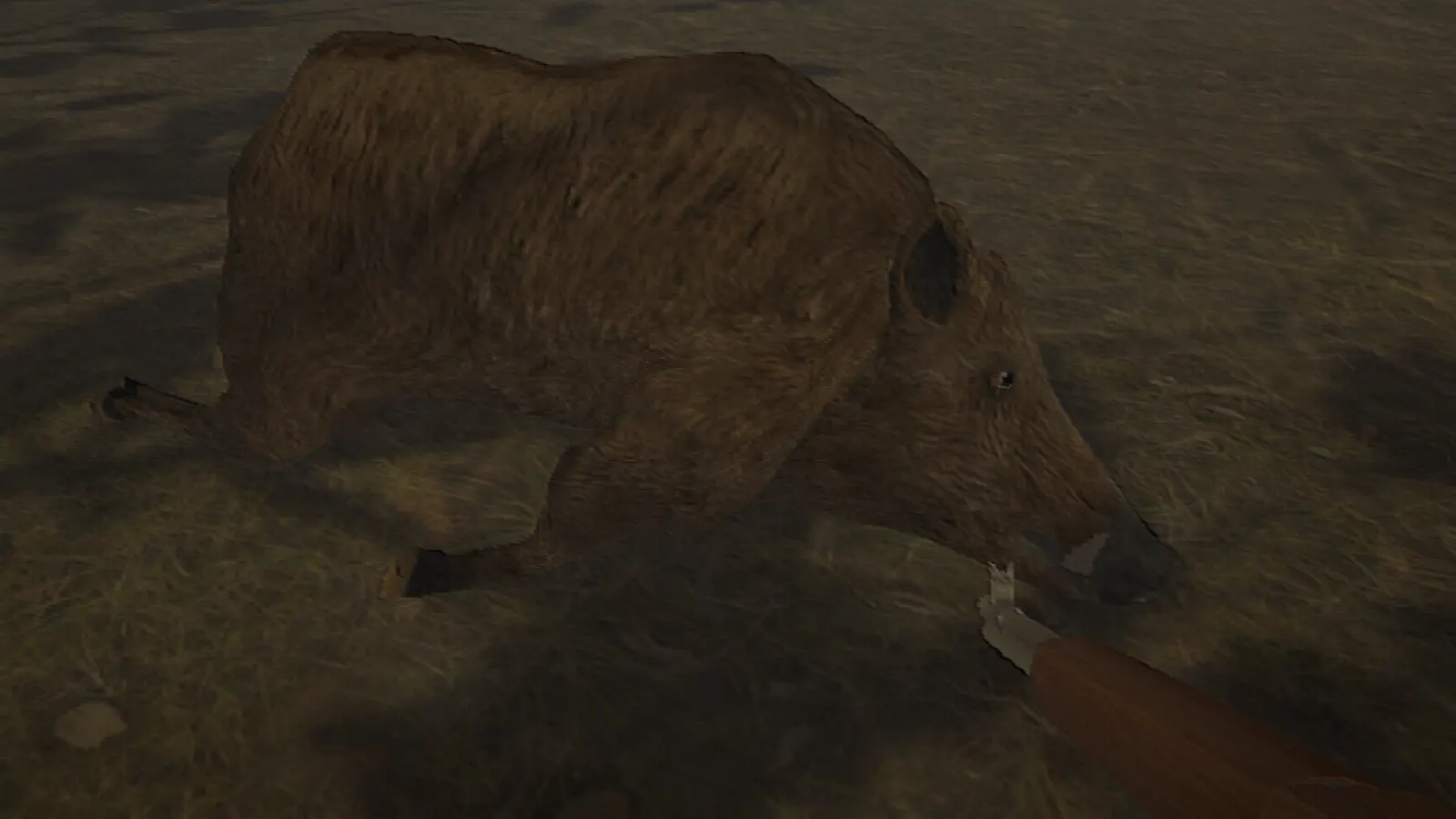 Hog Hunter 2021 media 1