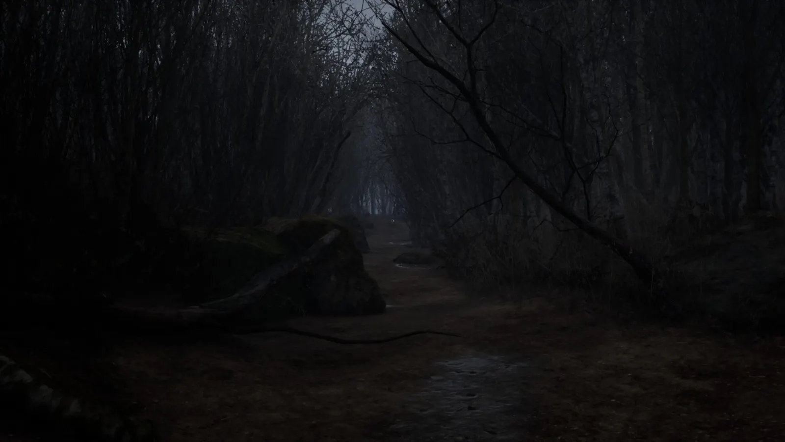 Horror Story: Hallowseed media 4