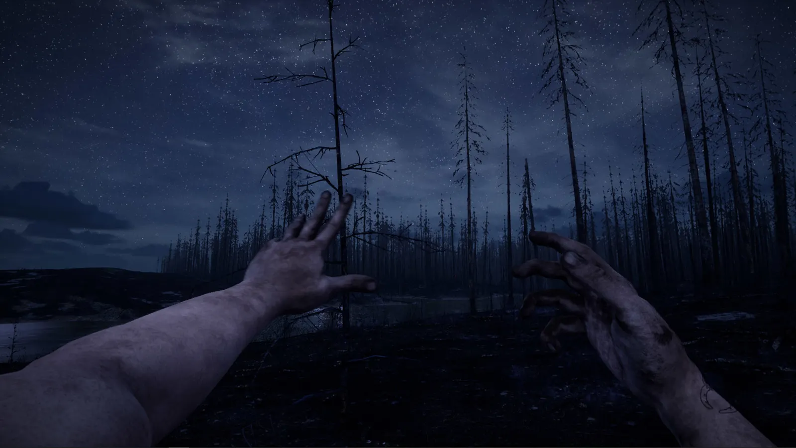 HORROR TALES: The Beggar media 5