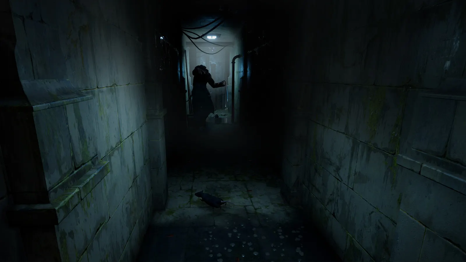 HORROR TALES: The Wine media 4