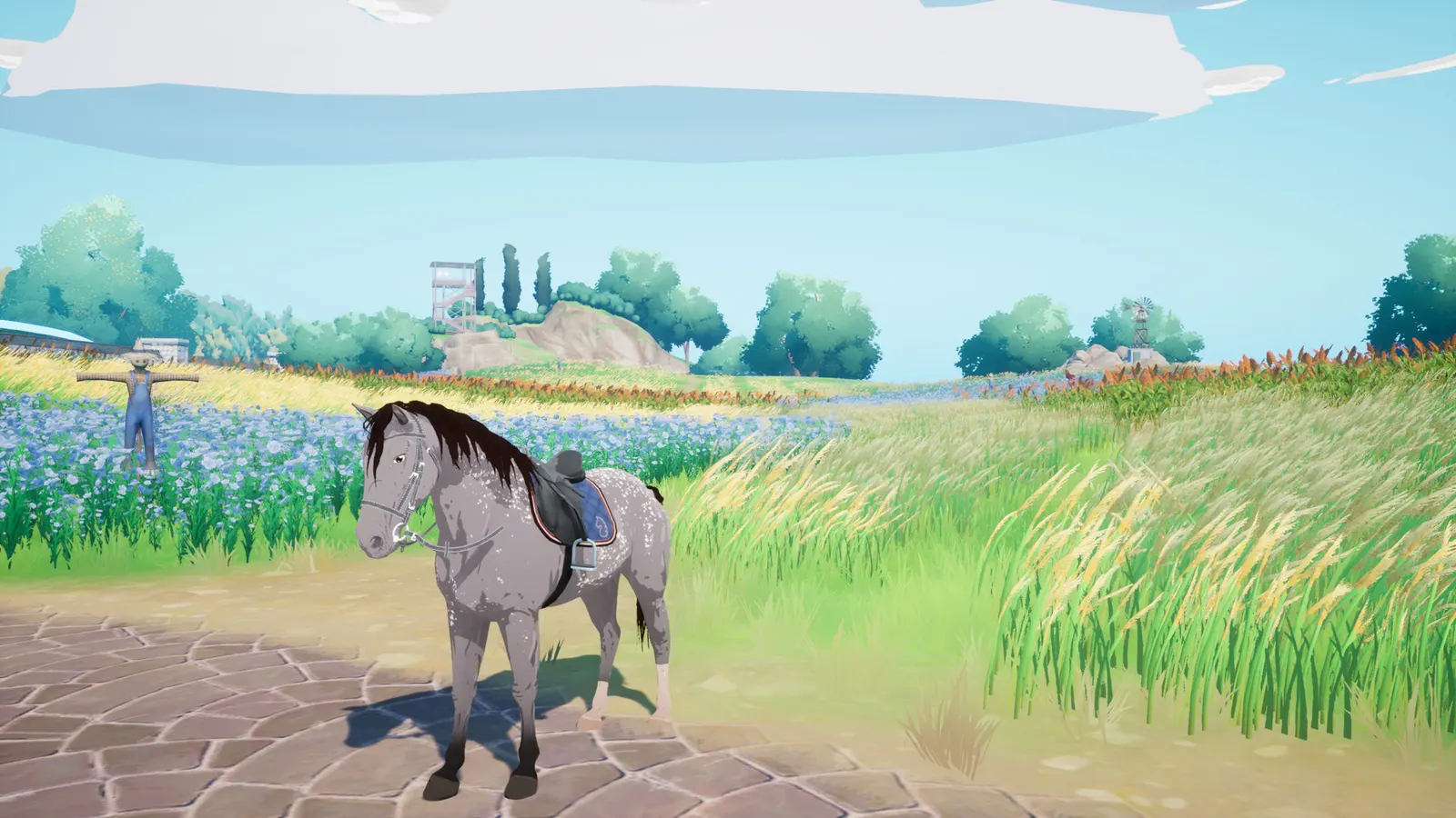 Horse Tales: Emerald Valley Ranch media 13