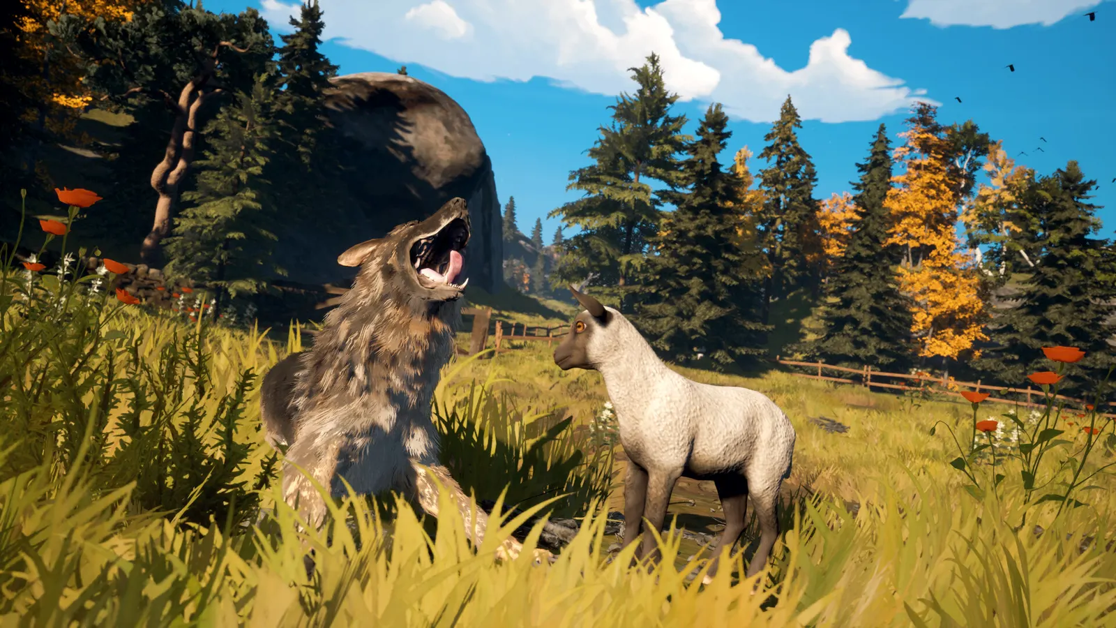 Hubert media 14