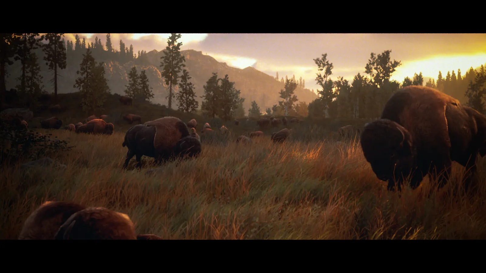 Hunting Simulator 3 media 3