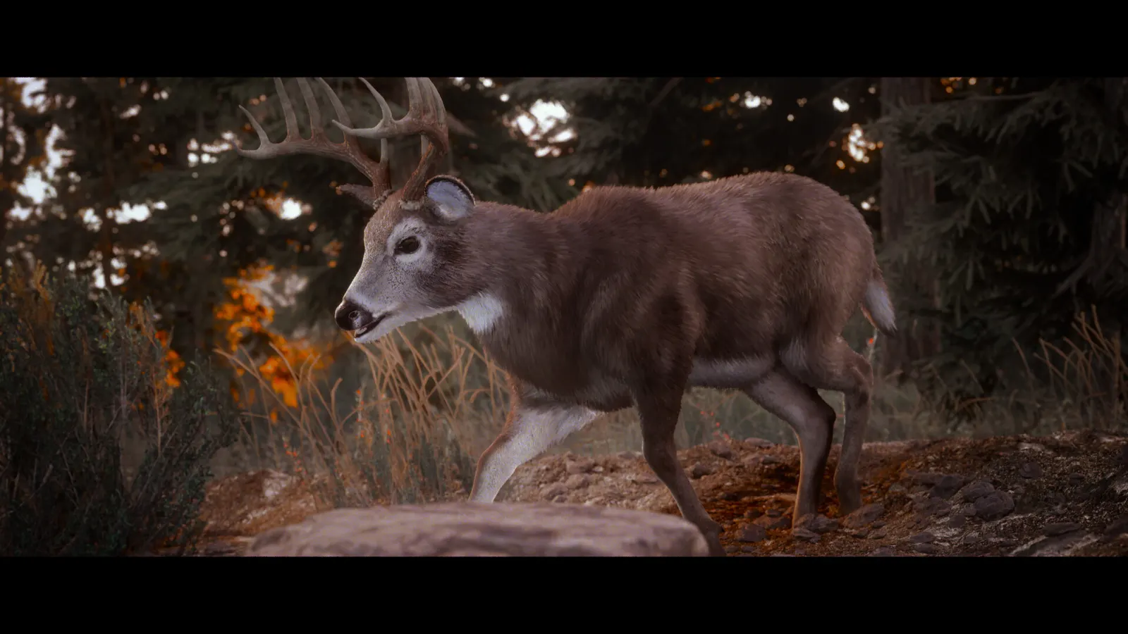 Hunting Simulator 3 media 4