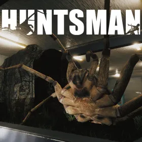 Обкладинка гри Huntsman