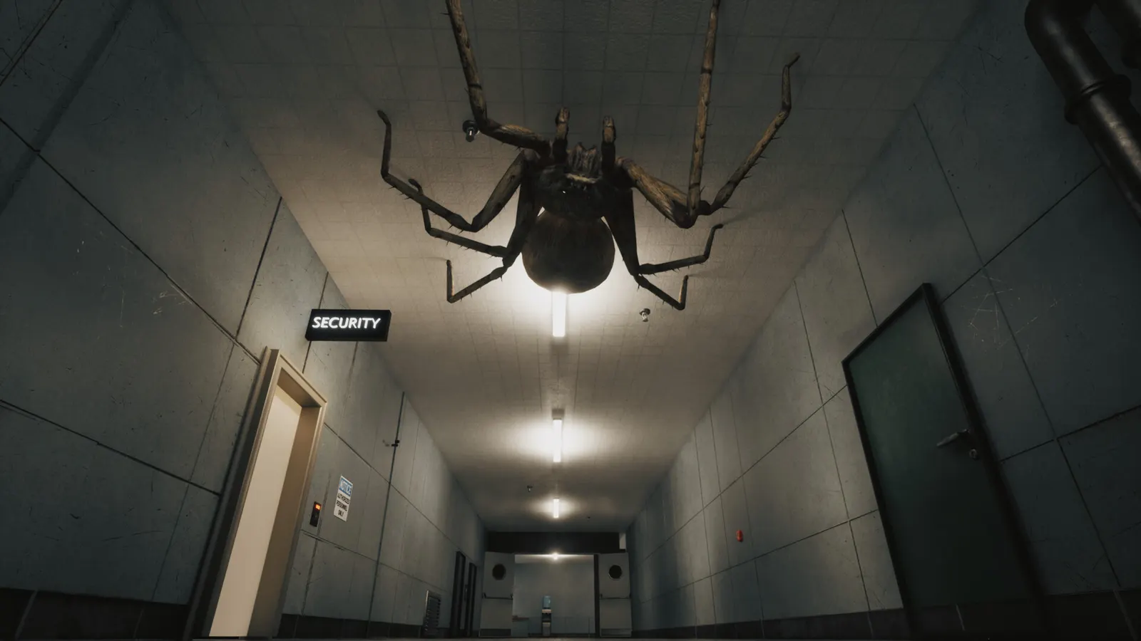 Huntsman media 8