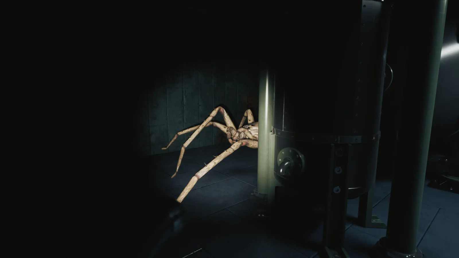 Huntsman media 8