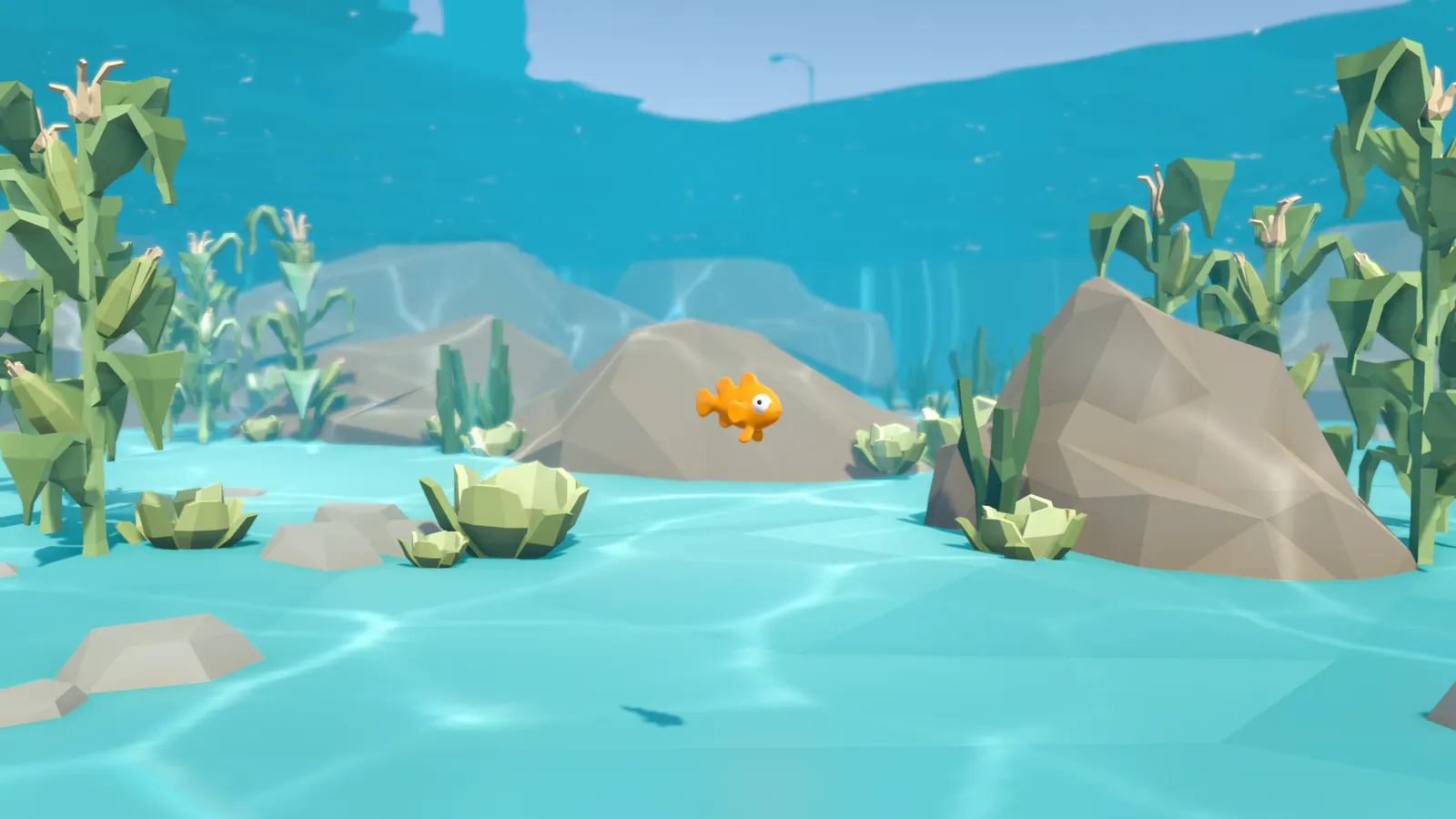 I Am Fish media 8