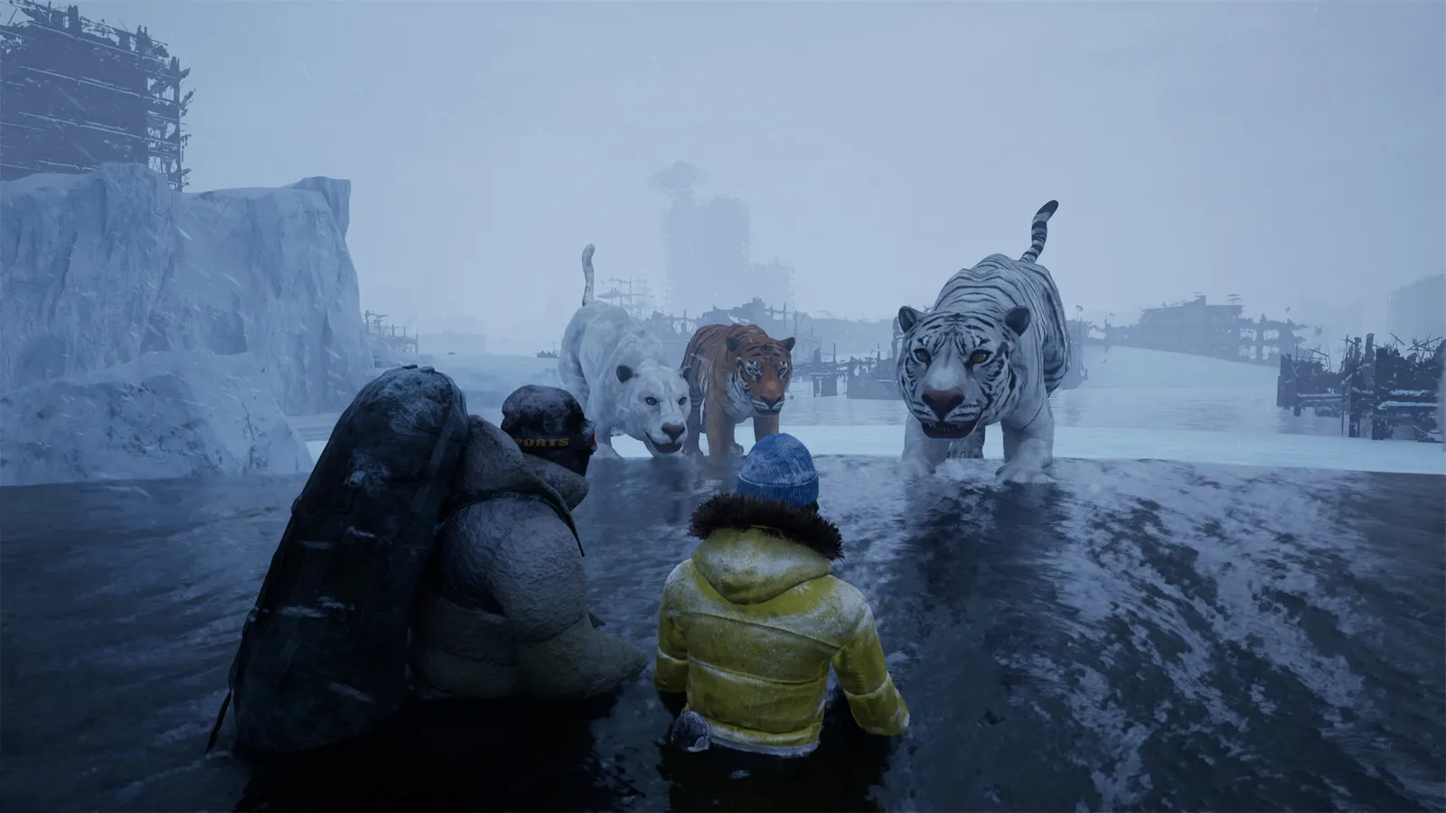 Ice World media 14
