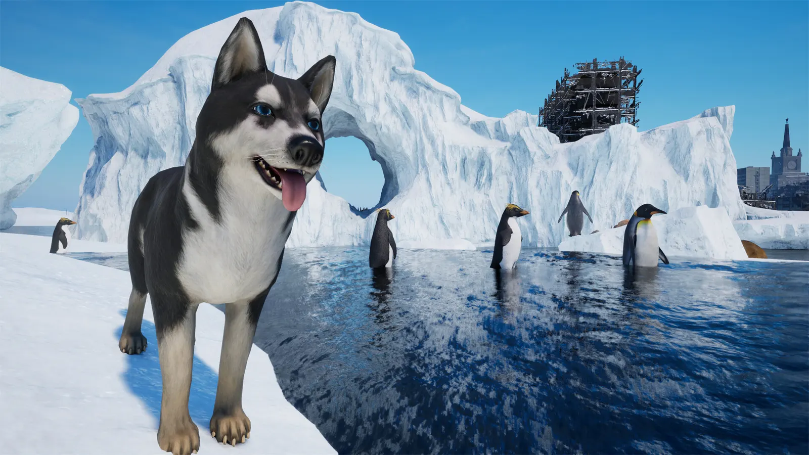 Ice World media 20