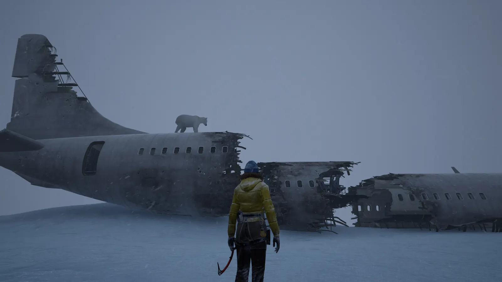 Ice World media 22