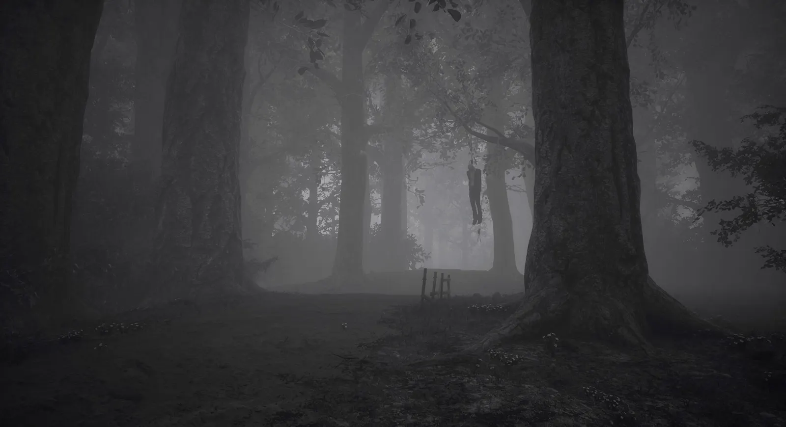 IMAGO: Beyond the Nightmares media 6