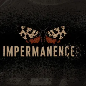 Обкладинка гри Impermanence