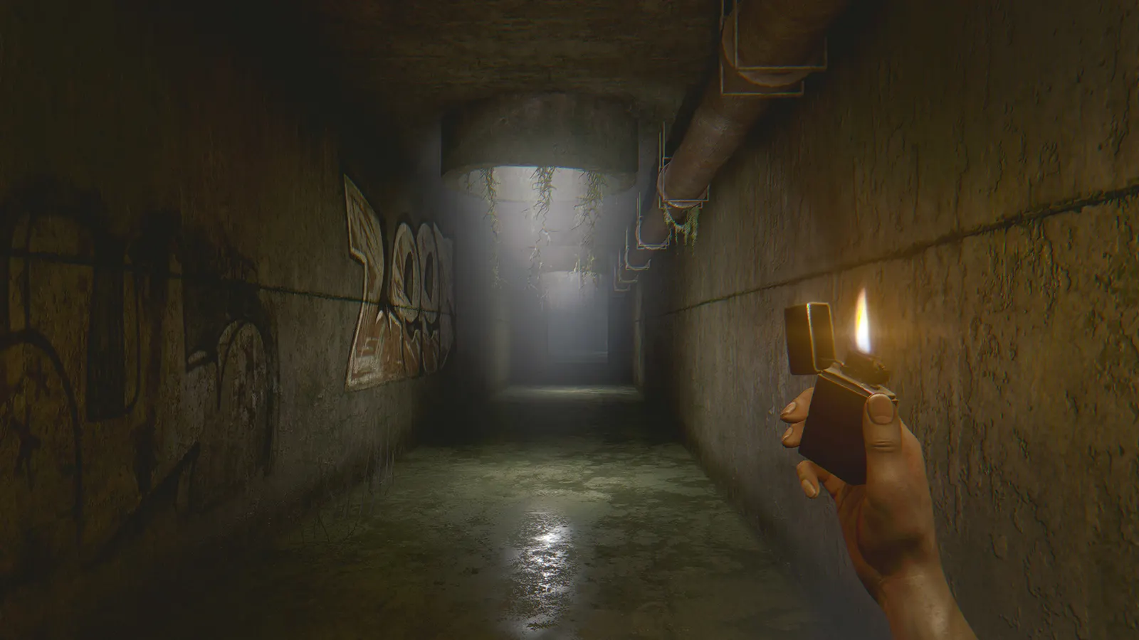 The Light Remake media 7