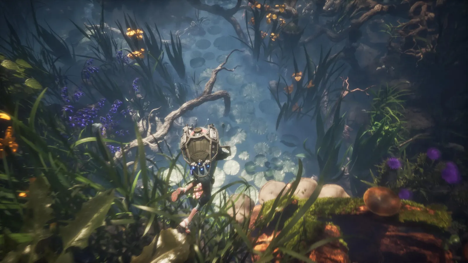 Infinitesimals media 2