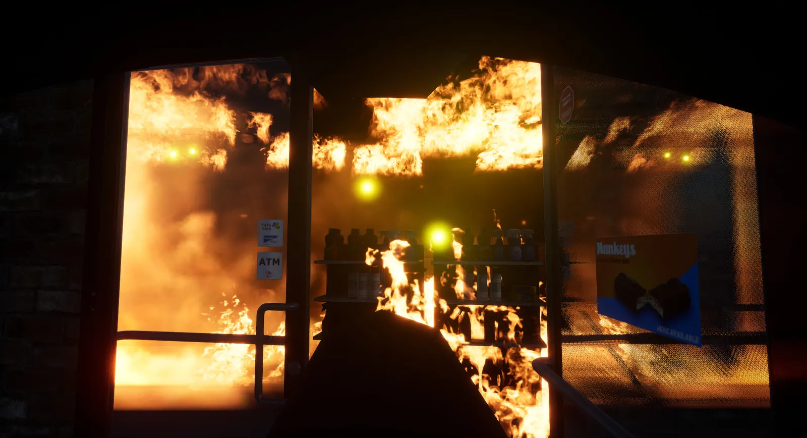 Into The Flames media 6