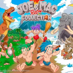 Обкладинка гри Joe & Mac Retro Collection