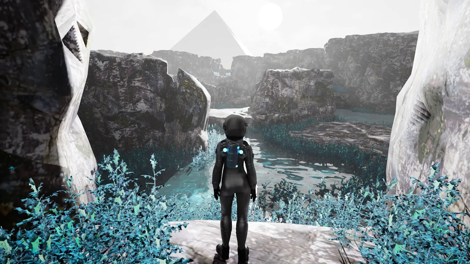 K2-18b: Legacy media 10