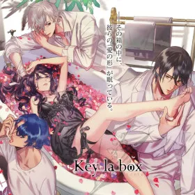 Обкладинка гри Key la box